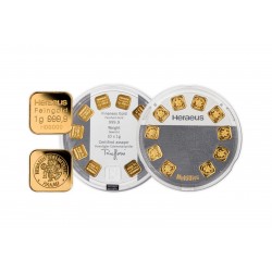 Lingote de Oro Multidisc 10 gr.